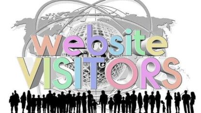 website visitors